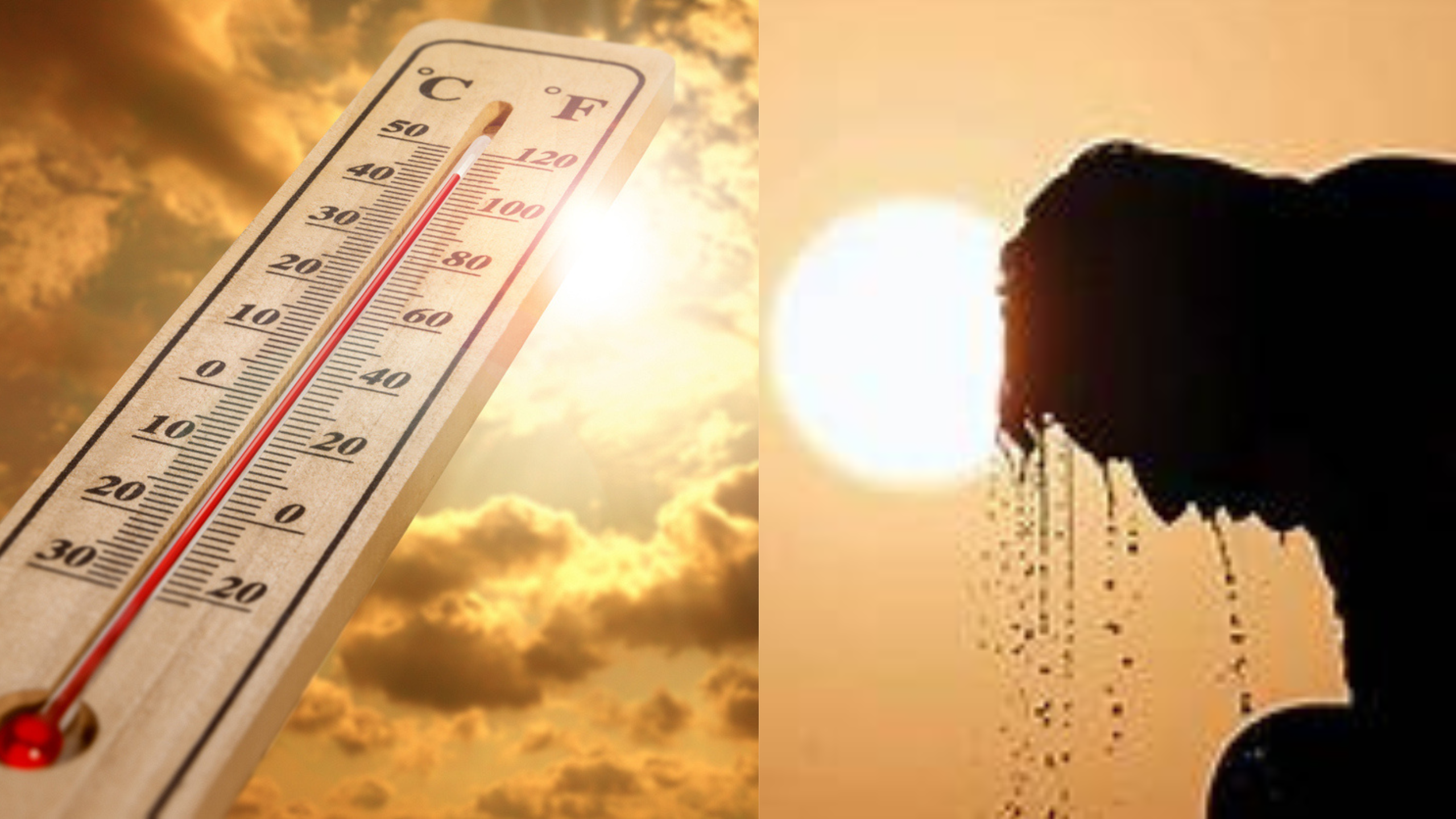 তীব্র দাবদাহে হিট স্ট্রোকের(Heat Stroke) সম্ভাবনা ক্রমশ বাড়ছে