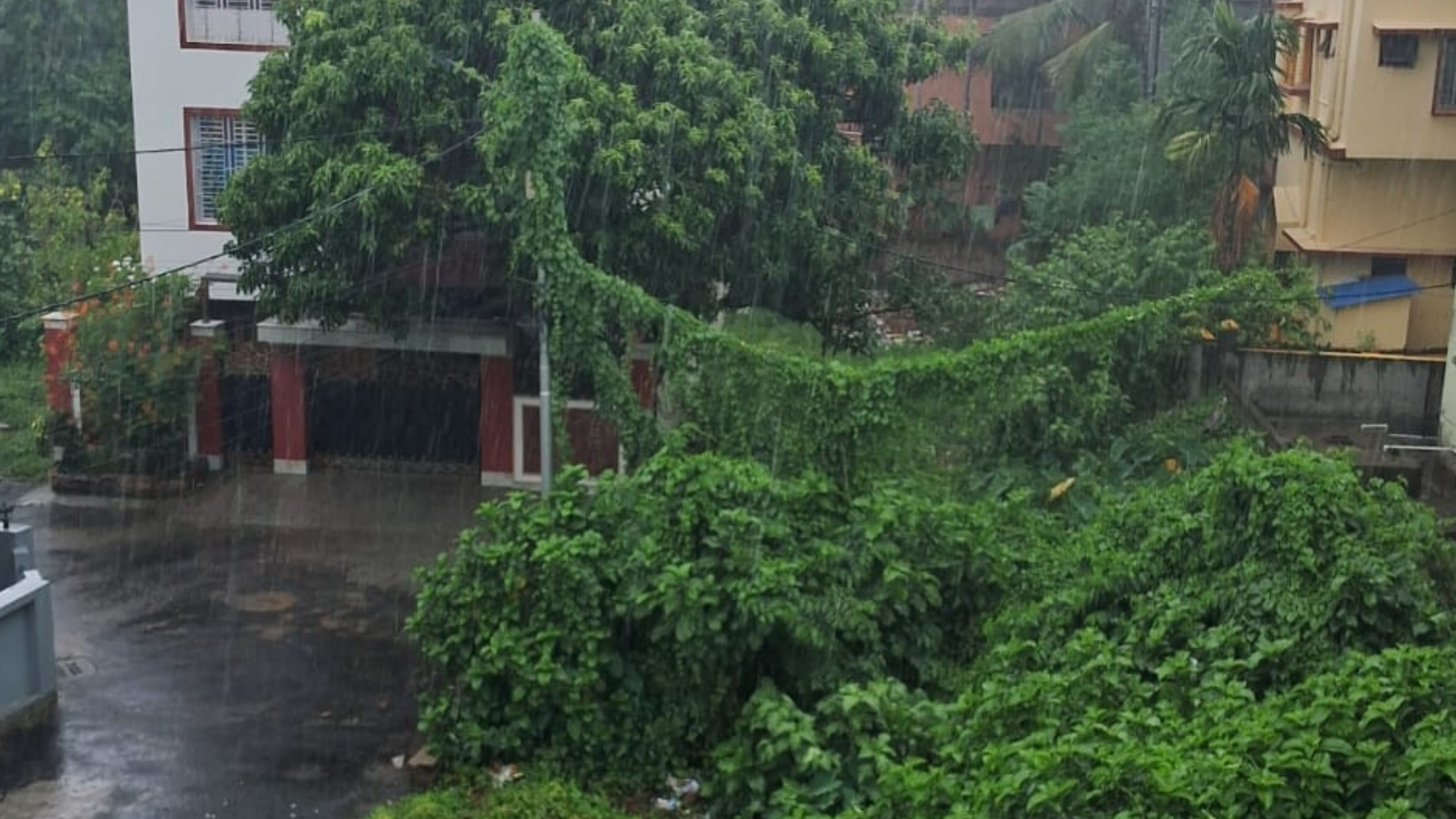 আবহাওয়া দফতর জানিয়েছে ঘূর্ণাবর্ত ও নিম্নচাপের জোড়া ফলায় অধিক বৃষ্টির সম্ভাবনা রয়েছে উত্তরবঙ্গের জেলাগুলিতে। তবে বৃষ্টি হবে দক্ষিণে জেলাগুলিতেও